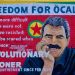 Democratic Nation Ocalan